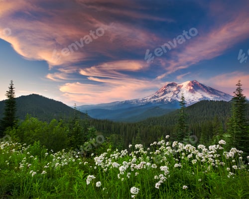 Preview: Mount Rainier, a snow capped peak, surrounded by forest reflected in the lake surface in the Mount