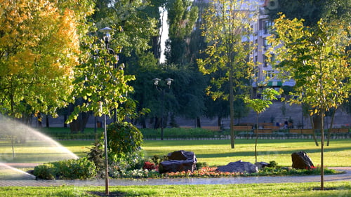 Preview: Beautiful summer park with landscape design.