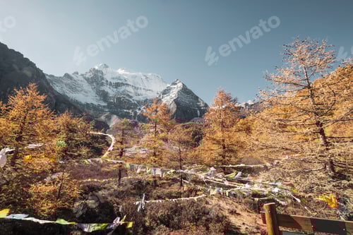 Preview: Snowy Mountains and Colorful Flags in Autumn Landscape