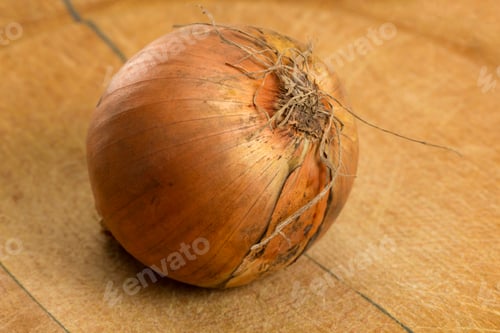 Preview: Single onion