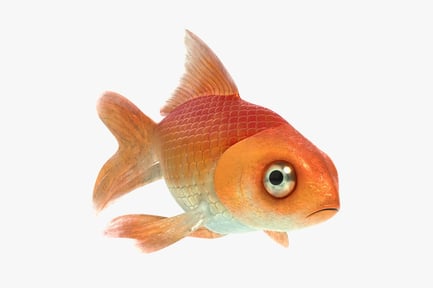 Vista previa: Peces de colores de dibujos animados con estilo animado