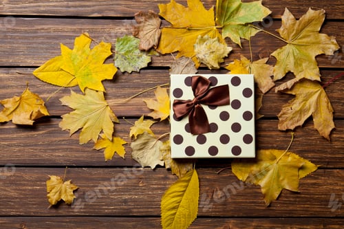 Preview: Gift box and leafs