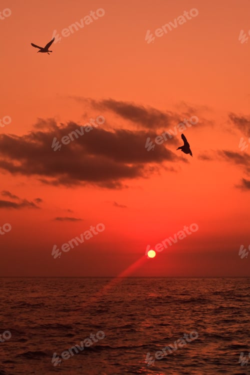 Preview: sunrise at sea