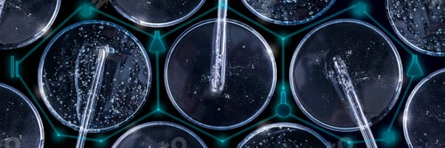 Preview: abstract banner glass pipette serum gel closeup in petri dish on dark background holographic element
