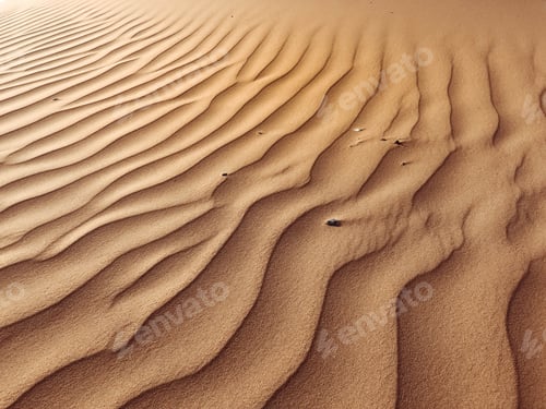 Preview: Sand dunes in UAE