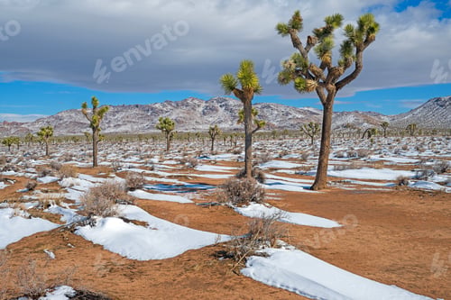 Preview: Desert Snow Drifts and Mountains in the Spring