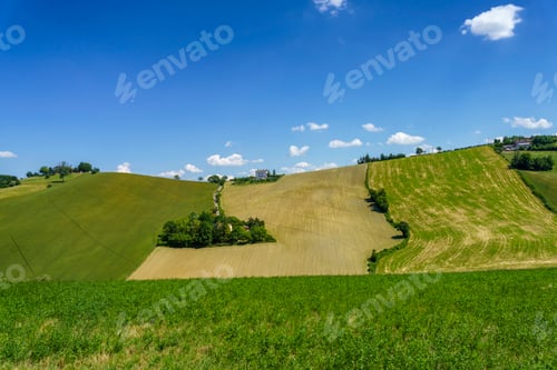 Preview: Rural landscape near Sala Baganza and Torrechiara, Parma, at springtime