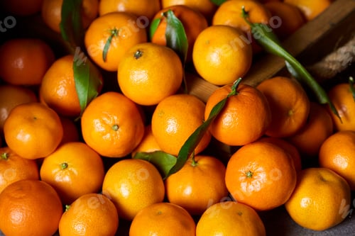Preview: selective focus of sweet orange tangerines with green leaves