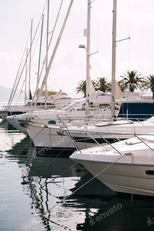 Preview: White yachts stand in a row at the pier with green palm trees