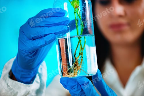 Vista previa: Biologist Examining Plant Roots
