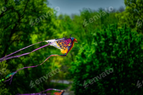 Preview: Vibrant kite soaring over tree-lined path