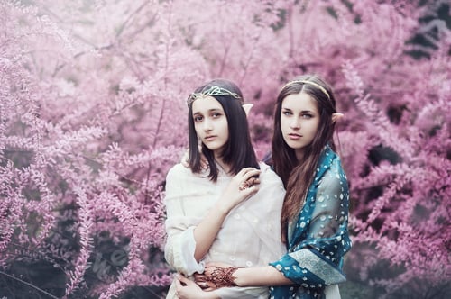 Preview: fairy tale girl. Portrai of mystic elf woman