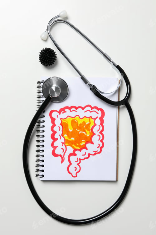Preview: Concept of health care and internal organs - intestines