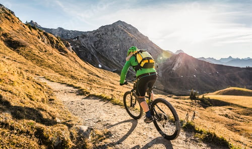 Preview: Cyclist on mountain biking area, Kleinwalsertal, trails below Walser Hammerspitze, Austria