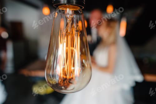 Preview: retro bulbs lights. newlyweds couple embracing