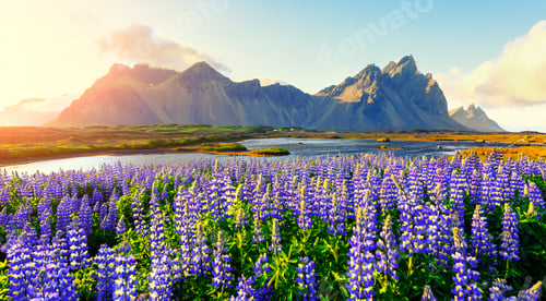 Preview: Famous Stokksnes mountains on Vestrahorn cape