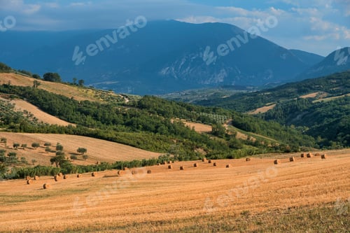 Preview: Summer landscape in Abruzzi near Pietranico