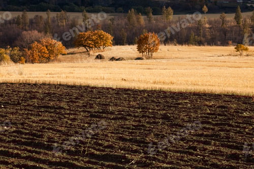 Preview: Rural scene in Inner Mongolia province,China