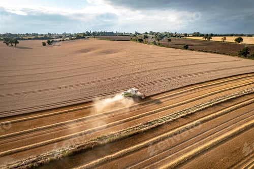 Preview: Summer Harvest Time