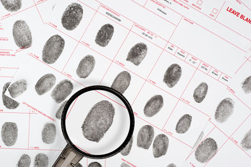 Preview: Fingerprints