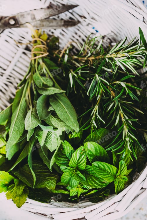 Preview: Fresh Herbs