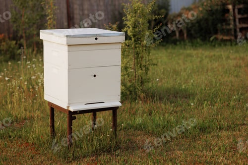 Preview: White beehive in green grassy field.