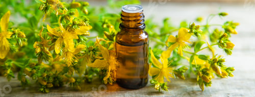 St. John's Wort Oil with Fresh Herbs