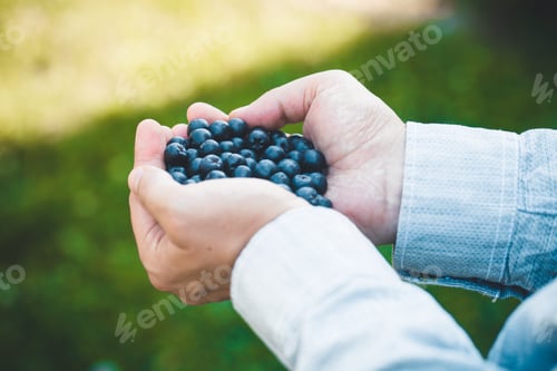Preview: Blueberries