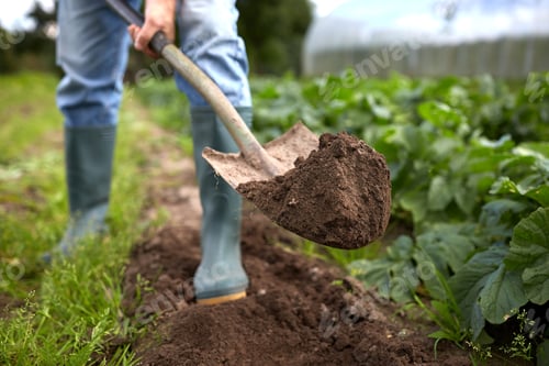Preview: man with shovel digging garden bed or farm