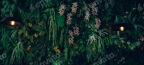 Preview: Close up group of background tropical green leaves texture and abstract background.