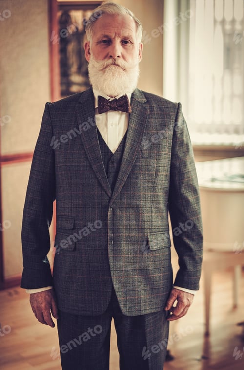 Preview: Well-dressed senior man in luxury interior