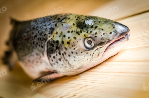 Preview: Atlantic Salmon whole fish