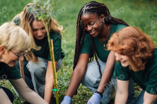 Preview: Group of volunteers planting a tree in the park