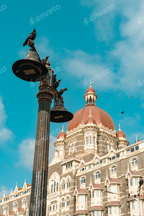 Preview: the tall buildings have birds on their heads on them outside