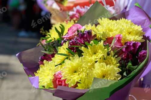 Preview: flower