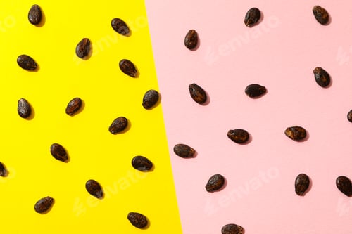 Preview: Watermelon seeds on two tone background, top view