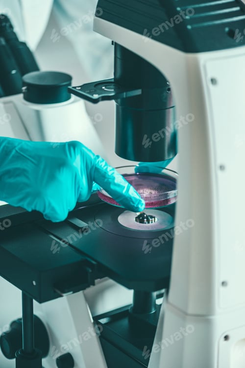 Preview: Scientist researching in laboratory