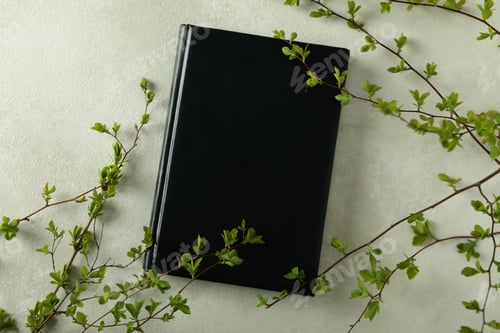 Preview: Bible and twigs on light textured background