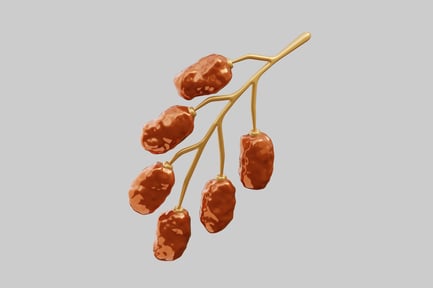 Branch of fresh dates