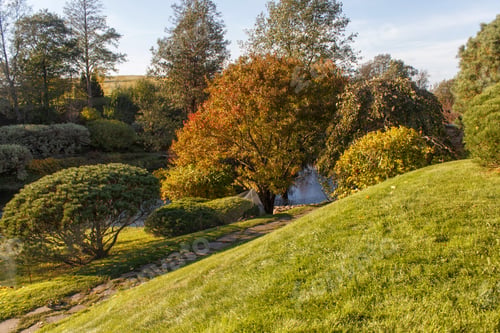 Preview: Park with green lawn, trees and trimmed bushes.