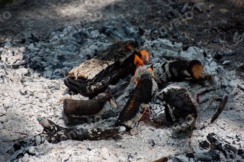 Preview: Closeup of campfire in nature