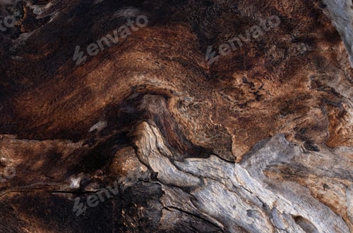 Preview: Wood texture background, wooden in dark brown with rough surface pattern