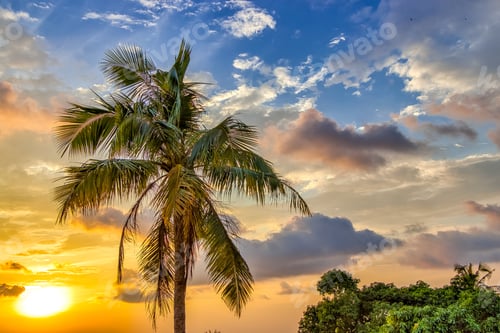 Preview: Majestic sunset cloudscape over tropical palm trees in Phu Quoc island, Vietnam