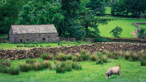 Preview: Old rocky home and sheep on green pasture in District Lake
