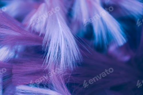 Preview: The delicate fluffy texture of feather in very peri purple trendy color of 2022 year.