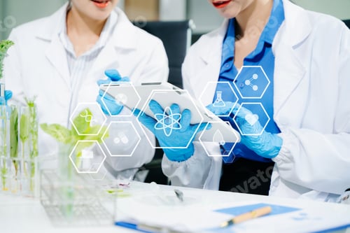 Preview: Female scientists examining plant samples with a microscope in a modern laboratory,