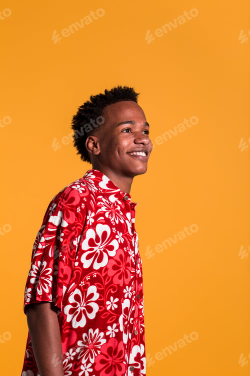 Preview: Stylish cheerful man in beach shirt