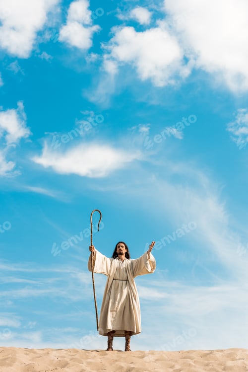 Preview: handsome bearded man holding wooden cane and standingin desert against sky