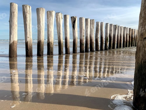 Preview: Beautiful shot of wooden groins on the seashore