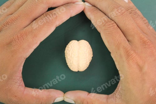 Preview: the hand makes a bracket shape and the brain in the middle. the concept of human brain care.
